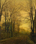 Ottobre dopo la luce - John Atkinson Grimshaw — vista dell’opera