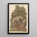 Le lion - John Baptist Jackson — quadro incorniciato alla parete