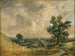 Paesaggio inglese - John Constable — vista dell’opera