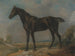 Il cavallo nero di Constable - John Constable — vista dell’opera