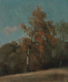 Studio di un frassino - John Constable — vista dell’opera