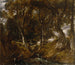 Il vallone a Helmingham Park - John Constable — vista dell’opera