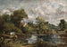 Il cavallo bianco - John Constable — vista dell’opera