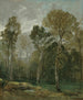 Vista di un boschetto - John Constable — vista dell’opera