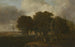 Hautbois Common, Norfolk - John Crome — vista dell’opera