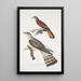 Coucou à bec fin Cuculus tenuirostris 2 Coucou Bhrow Brow Cuculus Lathami - John Edward Gray — quadro incorniciato alla parete