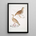 Perdrix des bois Perdix gularis 2 Perdrix orientale Perdix orientalis - John Edward Gray — quadro incorniciato alla parete