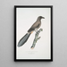 Pie cinese Pica Sinensis - John Edward Gray — quadro incorniciato alla parete