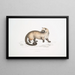 Crosss Paradoxurus Paradoxurus Crossii - John Edward Gray — quadro incorniciato alla parete