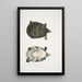 Trionyx ocellé Tryonix ocellatus - John Edward Gray — quadro incorniciato alla parete