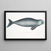 Dugong indiano Halicora Dugung - John Edward Gray — quadro incorniciato alla parete