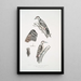 Pic épeichette Picus Macei 1 mâle 2 femelle 2a aile 2b coda - John Edward Gray — quadro incorniciato alla parete