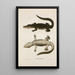 Alligator del Mississippi - John Edwards Holbrook — quadro incorniciato alla parete