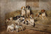 Cani e terrier in una scuderia - John Emms — vista dell’opera