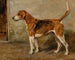 Ringwood - John Emms — vista dell’opera