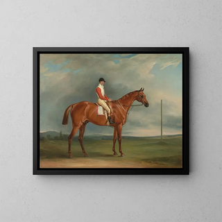 John Ferneley - Mr Sadlers Dangerous a chestnut racehorse with Chapple up.webp