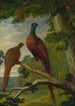 Un faisan mâle e femelle - John Frederick Herring l'Ancien — vista dell’opera