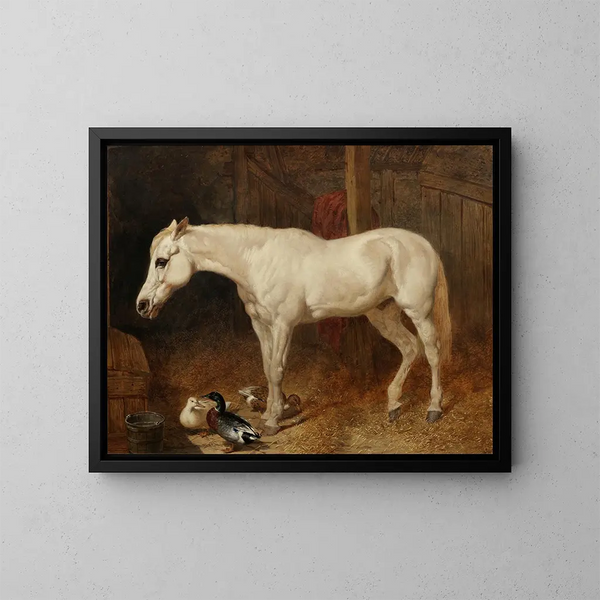 Un cavallo grigio in una scuderia - John Frederick Herring l'Ancien — quadro incorniciato alla parete
