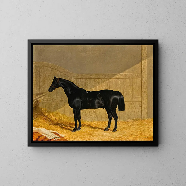 Cavallo nero in una scuderia - John Frederick Herring l'Ancien — quadro incorniciato alla parete