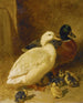 Anatre e paperelle - John Frederick Herring l'Ancien — vista dell’opera