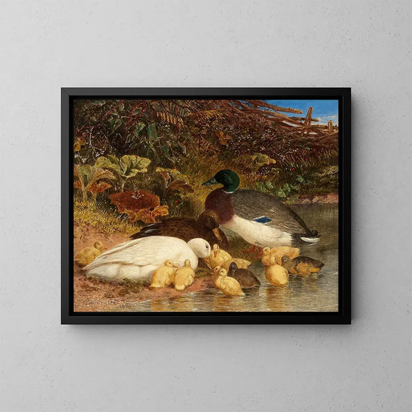 Anatre e paperelle vicino a uno stagno - John Frederick Herring l'Ancien — quadro incorniciato alla parete