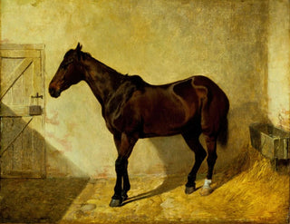 Cavallo - John Frederick Herring l'Ancien — vista dell’opera