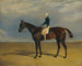 Margrave, un cavallo da corsa baio con il fantino James Robinson a Doncaster - John Frederick Herring il Vecchio — vista dell’opera