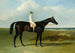 Il cavallo da corsa baio scuro di M. O'Brien, Jonathan Wild, con il fantino T. Ryder - John Frederick Herring il Vecchio — vista dell’opera