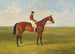 Mr S Wrathers Nutwith con J Marson vincitore del St Leger - John Frederick Herring l'Ancien — vista dell’opera