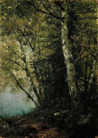 John Frederick Kensett - Study of Beeches.webp