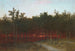 Crepuscolo tra i cedri a Darien, Connecticut - John Frederick Kensett — vista dell’opera