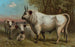 Bétail di Chillingham - John George Wood — vista dell’opera