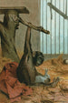 Chimpanzé - John George Wood — vista dell’opera