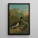 Canard colvert - John George Wood — quadro incorniciato alla parete
