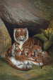 Tigre - John George Wood — vista dell’opera
