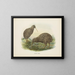 Apteryx oweni - John Gerrard Keulemans — quadro incorniciato alla parete