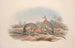 Una monografia dei Macropodidae o famiglia dei canguri Pl08 - John Gould — vista dell’opera