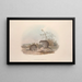 Una monografia dei Macropodidae o famiglia dei canguri Pl15 - John Gould — quadro incorniciato alla parete