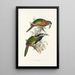 Une monografia dei Ramphastidae o famiglia dei tucani Pl21 - John Gould | Reproduction — quadro incorniciato alla parete