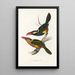 Une monografia dei Ramphastidae o famiglia dei tucani Pl22 - John Gould — quadro incorniciato alla parete
