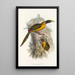Une monografia des Ramphastidae ou famiglia des toucans Pl28 - John Gould — quadro incorniciato alla parete