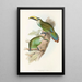 Une monografia dei Ramphastidae o famiglia dei tucani Pl29 - John Gould | Reproduction — quadro incorniciato alla parete