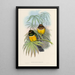Une monografia des Trogonidae ou famiglia des trogons Pl06 - John Gould — quadro incorniciato alla parete