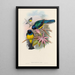 Une monografia dei Trogonidae o famiglia dei trogoni Pl08 - John Gould | Reproduction — quadro incorniciato alla parete