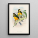Une monografia dei Trogonidae o famiglia dei trogoni Pl25 - John Gould | Reproduction — quadro incorniciato alla parete