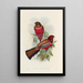 Une monografia dei Trogonidae o famiglia dei trogoni Pl47 - John Gould | Reproduction — quadro incorniciato alla parete