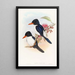 Martin-pêcheur à tête noire - John Gould — quadro incorniciato alla parete