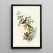 Helianthea eos - John Gould — quadro incorniciato alla parete