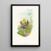 Hylocharis lactea - John Gould — quadro incorniciato alla parete