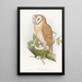 Petit-duc indien - John Gould — quadro incorniciato alla parete